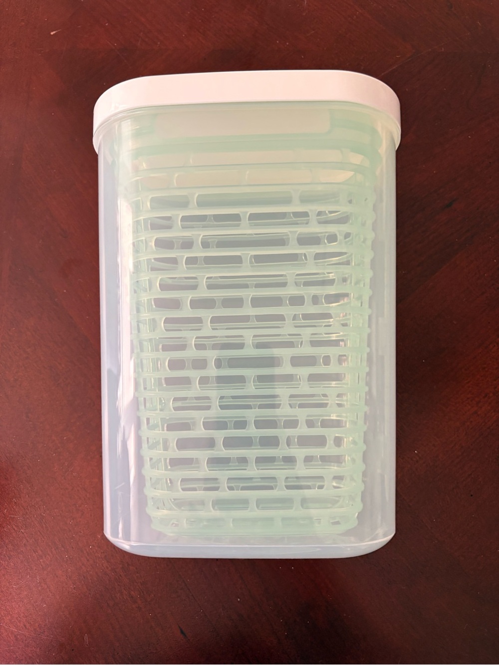 NWOT OXO Large Green Saver Herb Keeper